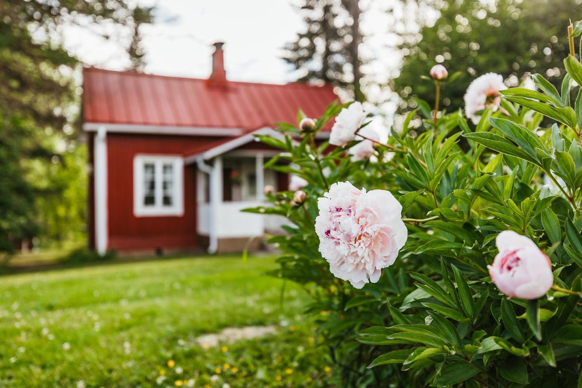 Valkeisen Loma Villa Ahtari Exterior photo